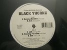 BLACK THORNZ - BURNING PARADISE - LAH RARE RANDOM INDIE RAP 12