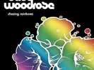 BABY WOODROSE-CHASING RAINBOWS-VINYL LP BAD AFRO NEU