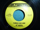THE RAMRODS flowers in my mind / mary mary 45 GARAGE PLYMOUTH 1967 NM VINYL