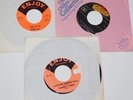 6x Elmore James 45:Shake Your Moneymaker,Sky is Crying,Mean Mistreatin Mama,Dust