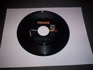 ROCK GARAGE 45 RICHARD & THE YOUNG LIONS PHILLIPS 40438 VG+  YOU CAN MAKE IT