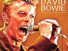 DAVID BOWIE - IN MEMORY OF DAVID BOWIE LTD.   VINYL LP NEW+