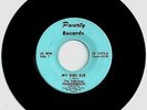 THE FABULOUS THUNDERBOLTS  “MY GIRL SUE” Iowa Garage Thumper Rocker 1965  MINT