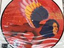 David Bowie The Man Who Sold The World RSD picture disc vinyl LP