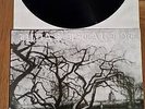 JUDAS ISCARIOT Thy Dying Light #220/350 Vinyl LP MINT Taake / Nargaroth / Horna