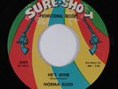 Northern Soul R&B 45 NORMA RUDD He's Mine SURE-SHOT NM HEAR
