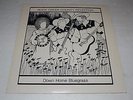 Rock Creek County Rendition Down Home Bluegrass Jimmy Buffet FAST SHIPPING