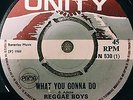 SKINHEAD REGGAE 45 REGGAE BOYS What You Gonna Do UNITY RECORDS