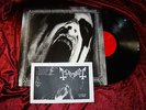 Vinyl 12