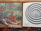 JIMMY CAMPBELL Half Baked UK Vertigo Swirl 1970 1st pressing LP MINT Folk Psych