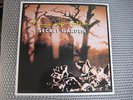 BRUCE SPRINGSTEEN - SECRET GARDEN  4-TRACK DUTCH 12