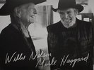 WILLIE NELSON/MERLE HAGGARD**DJANGO AND JIMMIE (GATEFOLD)**2 VINYL SET