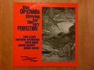 The Orchids - Striving for the Lazy Perfection - Original Vinyl LP Sarah Records