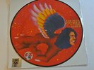 David Bowie The Man Who Sold the World LP Record Store Day Picture Disc RSD 2016