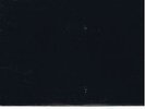 Prince,  Black  Album,   (  on Erotic City Records, NOIR -69
