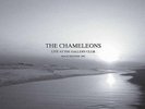 Chameleons - Live At The Gallery Club [Vinyl New]