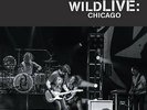 Halestorm - Into The Wild Live: Chicago (Limited Edition Vinyl) (New)