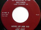 GENE TERRY & DOWN BEATS 45 Never Let Her Go / No Mail Today VG++ Doo Wop e5864