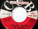 The ZEBULONS 45 Falling Water / Wo Ho La Tee Da CUB promo VG++ DOO WOP mg858