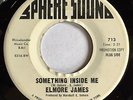 Blues R&B 45   ELMORE JAMES “Something Inside Me” SPHERE SOUND ’67 promo NM HEAR