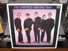 THE ZOMBIES SHE'S NOT THERE VINYL LP 1981 COMP HOLLAND DECCA STEREO VG+/VG+