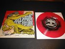 Fat Music For Fest People 4 10