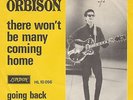 ROY ORBISON ‘THERE WON’T BE MANY COMING HOME’ DENMARK PS 45 vinyl