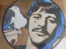 THE BEATLES - picture disc the alternate white album photo ringo