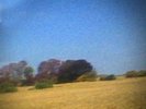 Sun Kil Moon Benji 2LP Clear Vinyl Sealed OOP Limited Mark Kozelek
