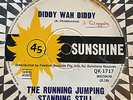 THE RUNNING JUMPING STANDING STILL - DIDDY WAH DIDDY - -Rare OZ Garage SUNSHINE
