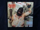 PUNGENT STENCH * Dirty Rhymes and Psychotronic Beats * MEGA  RAR * VINYL *