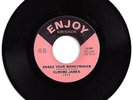 Blues Rocker 45-Elmore James-Shake Your Money Maker / Look On Yonder Wall-Enjoy