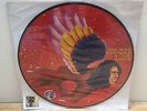 David Bowie Man Who Sold The World Record Store 2016 Picture Disc sealed