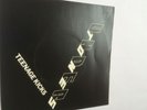 The Undertones. Teenage Kicks. 1978. SIR4007