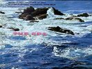 Munch, Boston Symphony Orch. Debussy: La Mer(The Sea) 12