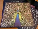 THE BLUETONES org uk lp EXPECTING TO FLY inner insert