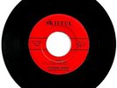 PICTORIAN SKIFFULS “In Awhile” 1965 Ohio Garage Classic on Skilfful Records