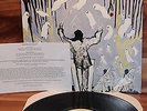 Hard To Come BY Original 1st.Pressing BIG BUSINESS Debut LP Melvins Stoner Rock