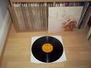 FAMILY Anyway UK 1970 REPRISE RECORDS A-1/B-11st Press with PVC Outer Sleeve
