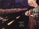 Dinosaur Jr. - Where You Been [Vinyl New]