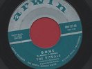 KILLER Surf Garage 45 THE RITUALS Gone / This Is Paradise KIM FOWLEY ARWIN 127