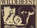 WILDEBEEST  ULTRA   RARE   SOUTH AFRICA    PROG  ROCK  LP   BUSHROCK  1