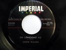 JACKIE WALKER 45 Only Teenagers Allowed / Oh Lonesome Me ROCKABILLY Rocker c2297