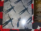muse absolution lp