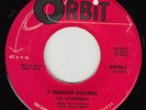 WANDERERS - Orbit 9003 (red) - A Teenage Quarrel / My Shining Hour - DOO-WOP VG+