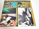 SONIC YOUTH - SISTER-LP/Vinyl/Record