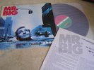 MR. BIG(KOREA VINYL LP 12