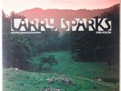 LARRY SPARKS & LONESOME RAMBLERS: Dark Hollow REBEL USA Bluegrass LP ’82 NM-