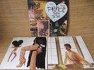 Sign O The Times /1987 Original Album - Hype Sticker & Fan Club Insert / Prince