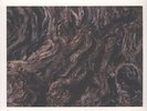 LUBOMYR MELNYK Rivers And Streams NEW/SEALED ERASED TAPES VINYL LP CLASSICAL